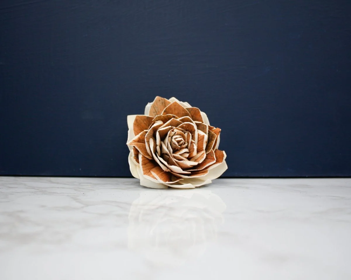 2" Georgia (10 Pack) - Image 2