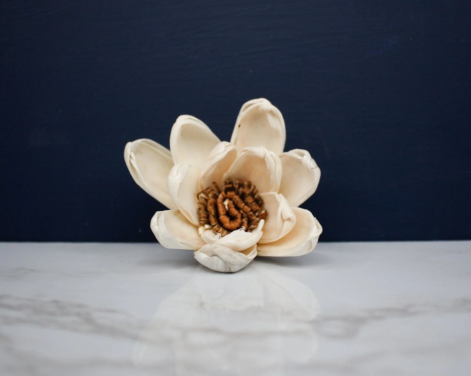 2" Harriet (10 Pack) - Image 3