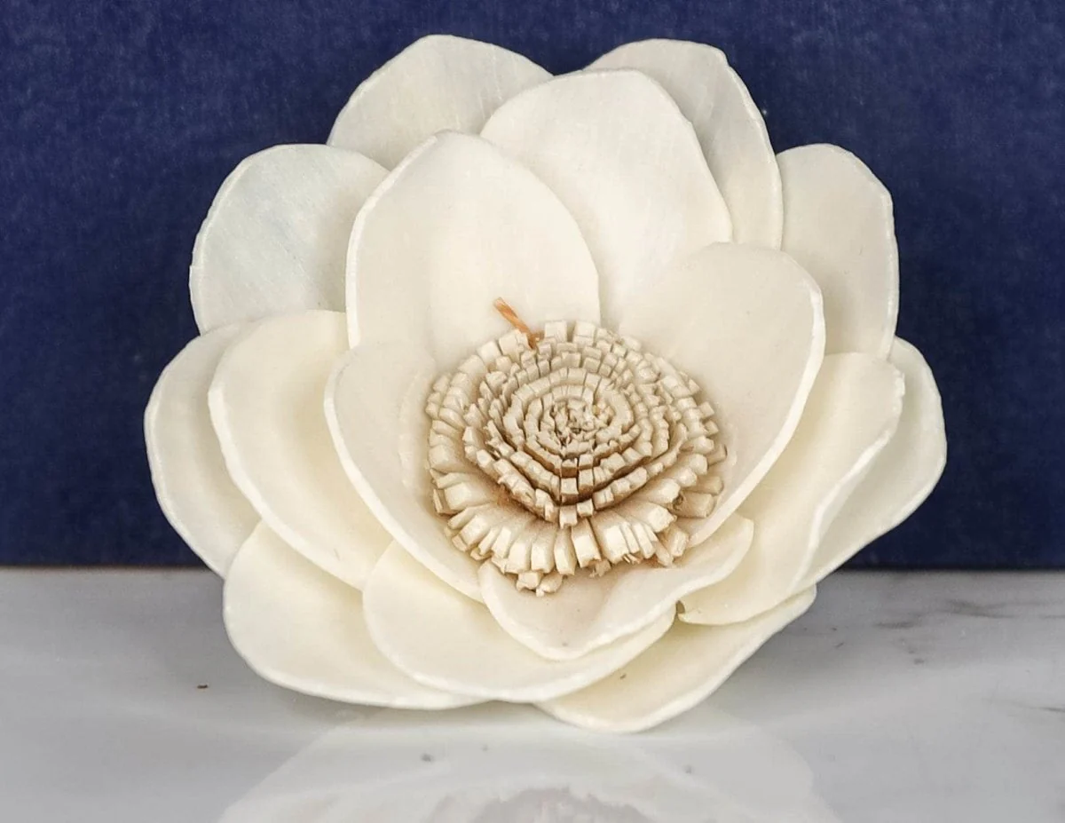 2" Honey (200 Pack) - Image 2
