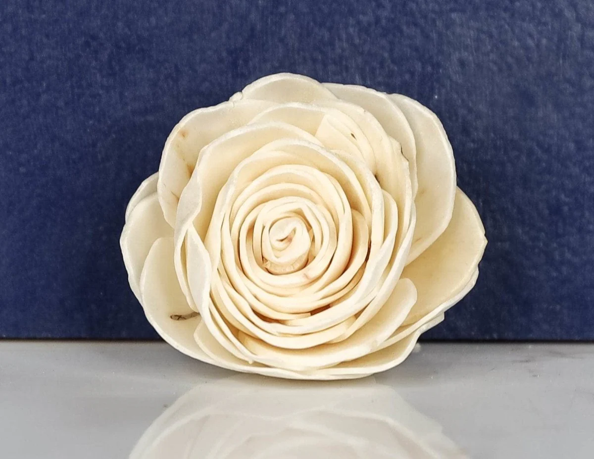 2" Jackie (10 Pack) - Image 2