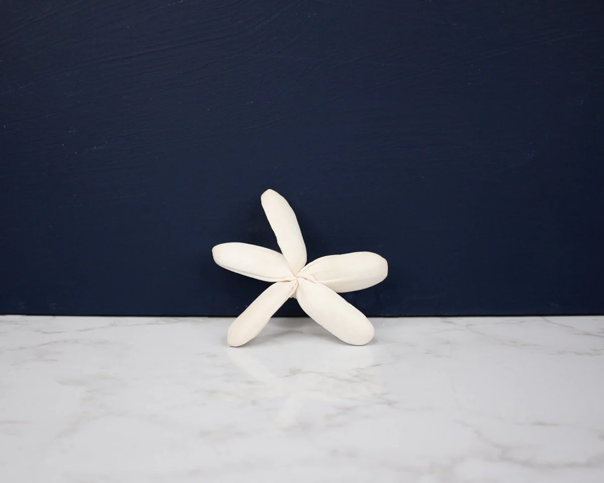 2" Dragonfly (10 Pack) - Image 2