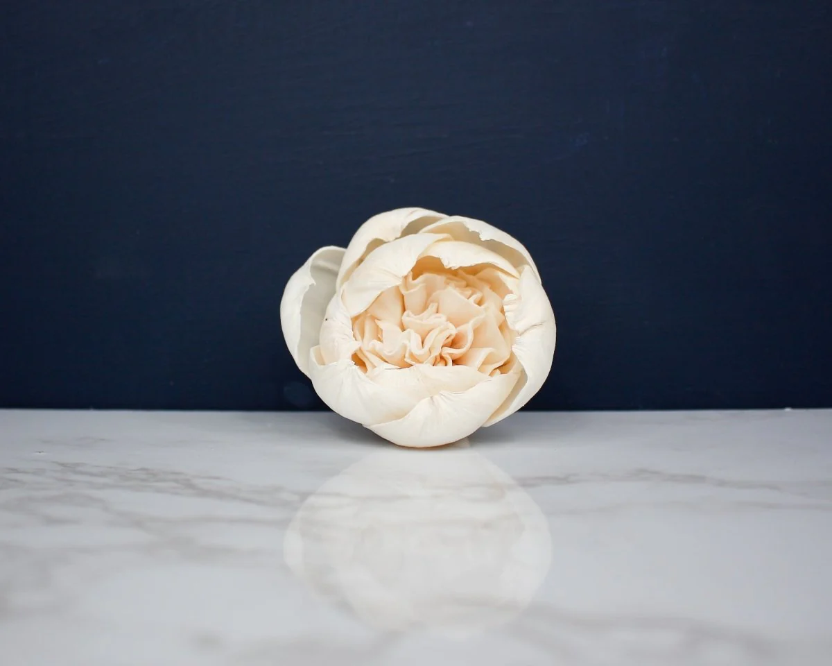 2" Lady Banks Rose Buds(10 Pack) - Image 2