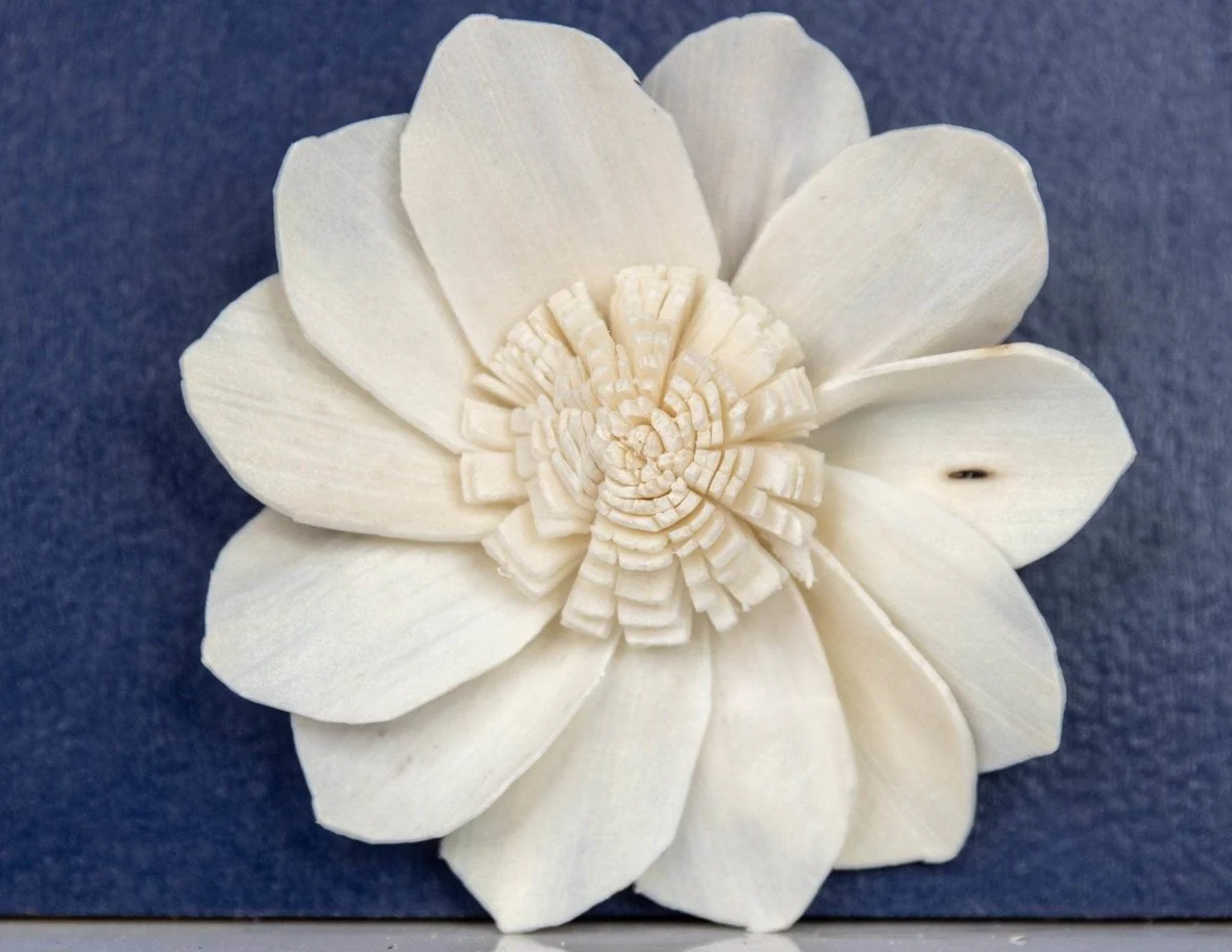 2" Millie (10 pack) - Image 2