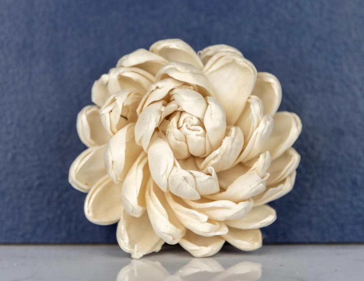 3" Lillian (10 pack) - Image 2
