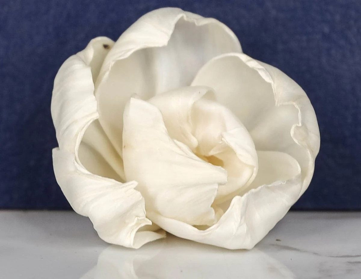 2" Lizzie (200 Pack) - Image 2