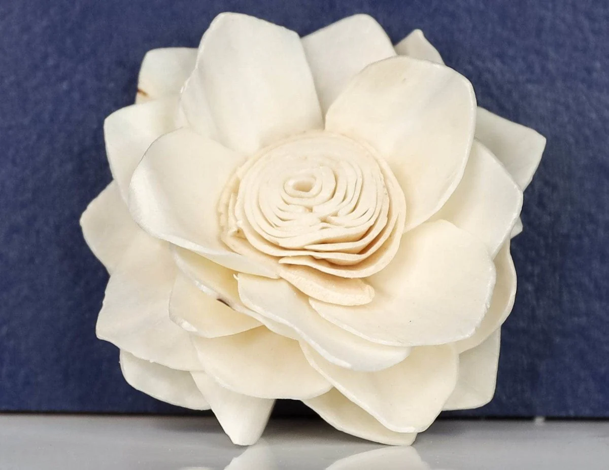 2" Lotus (10 pack) - Image 2