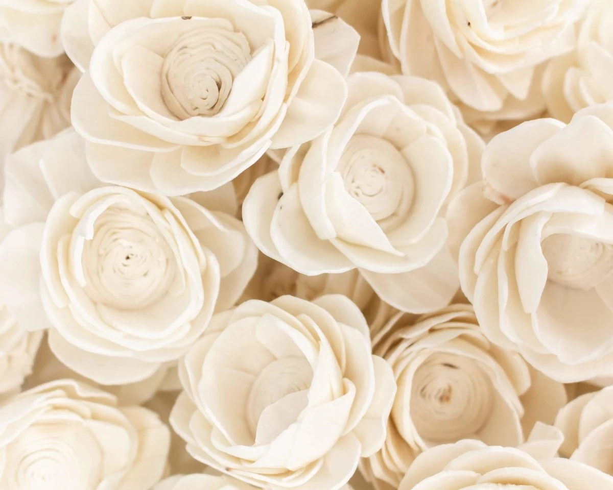 2" Lotus - 50 Pack - Image 2