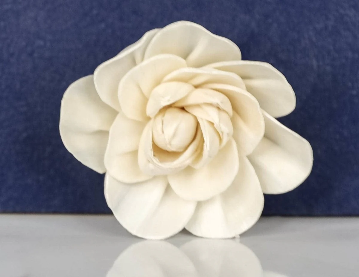 2" Maggie (10 Pack) - Image 2