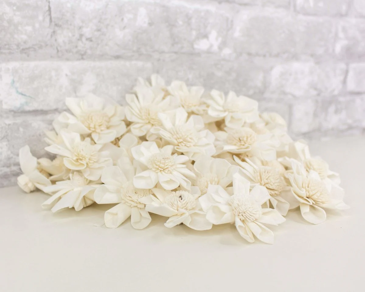 2" Maria - 50 Pack - Image 3