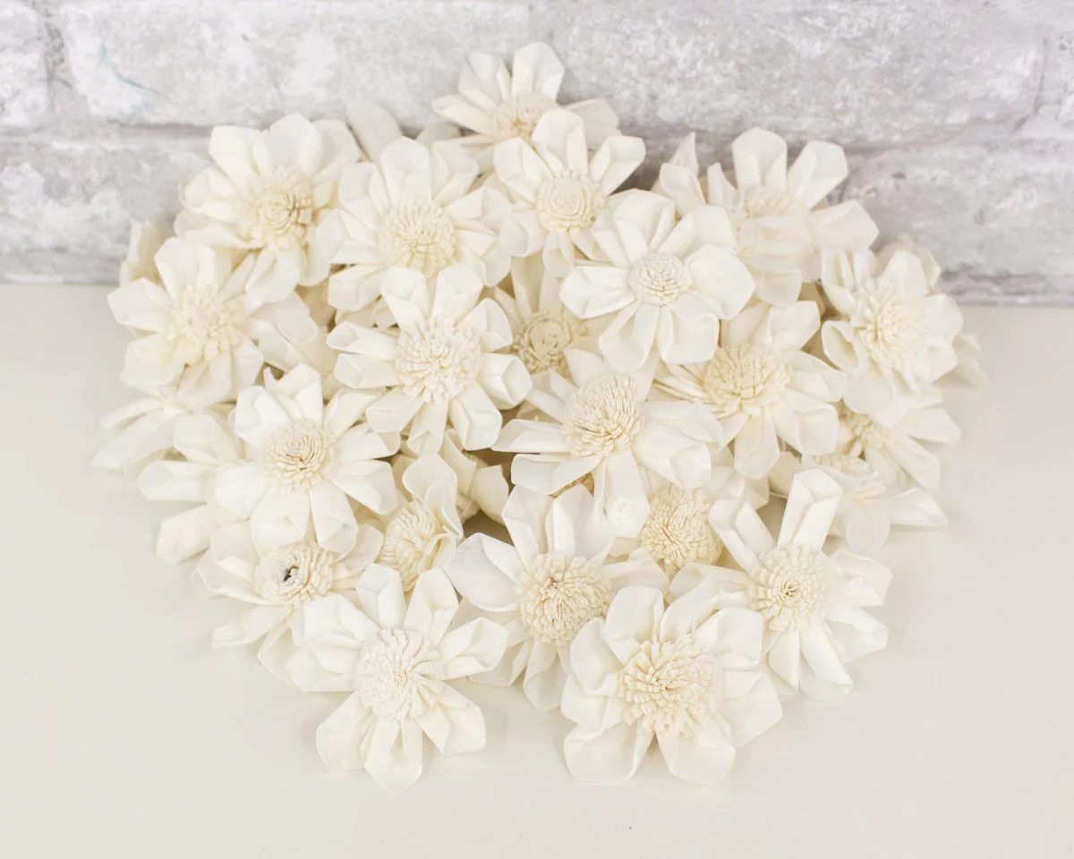 2" Maria - 50 Pack - Image 5