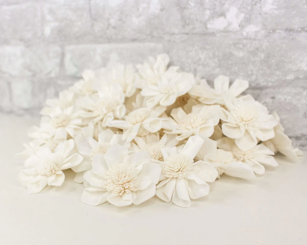 2" Maria - 50 Pack - Image 6
