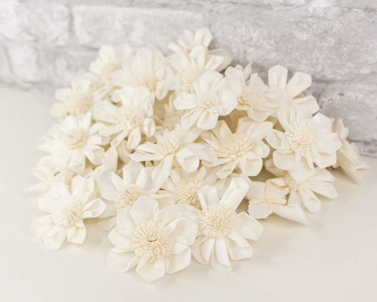 2" Maria - 50 Pack - Image 7