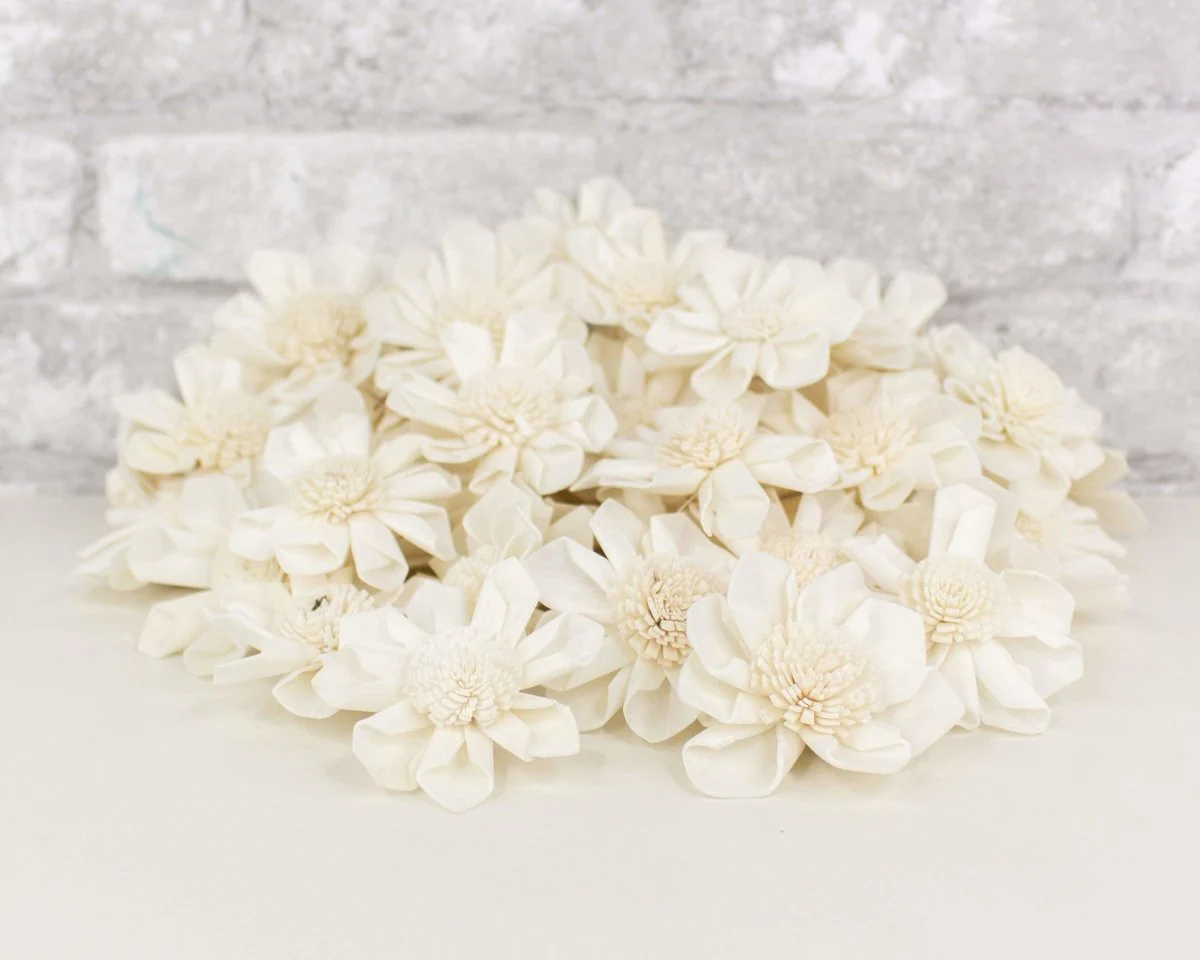 2" Maria - 50 Pack - Image 8