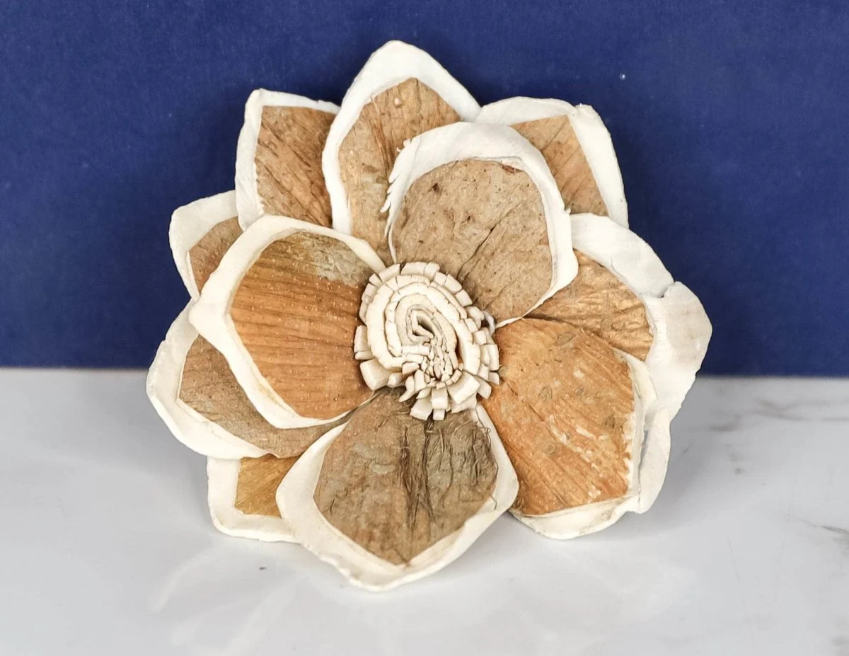 2" Mila (10 Pack) - Image 2