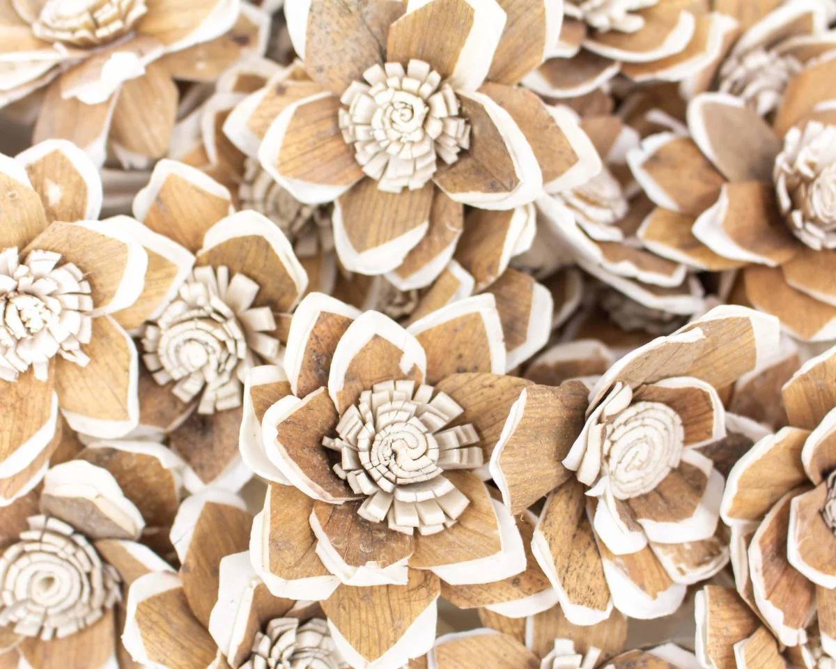 2" Mila - 50 Pack - Image 2