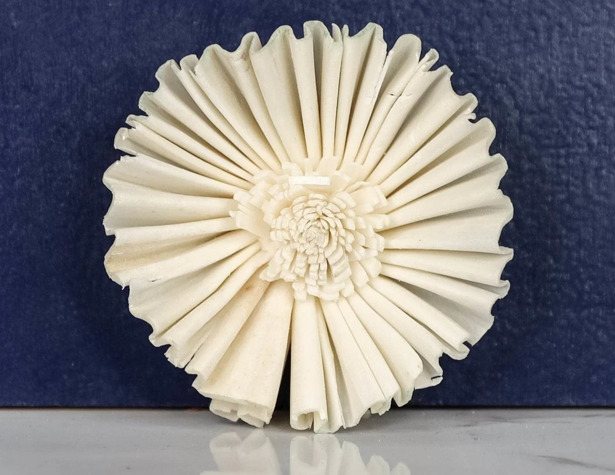 2" Moon Flower (10 pack) - Image 2