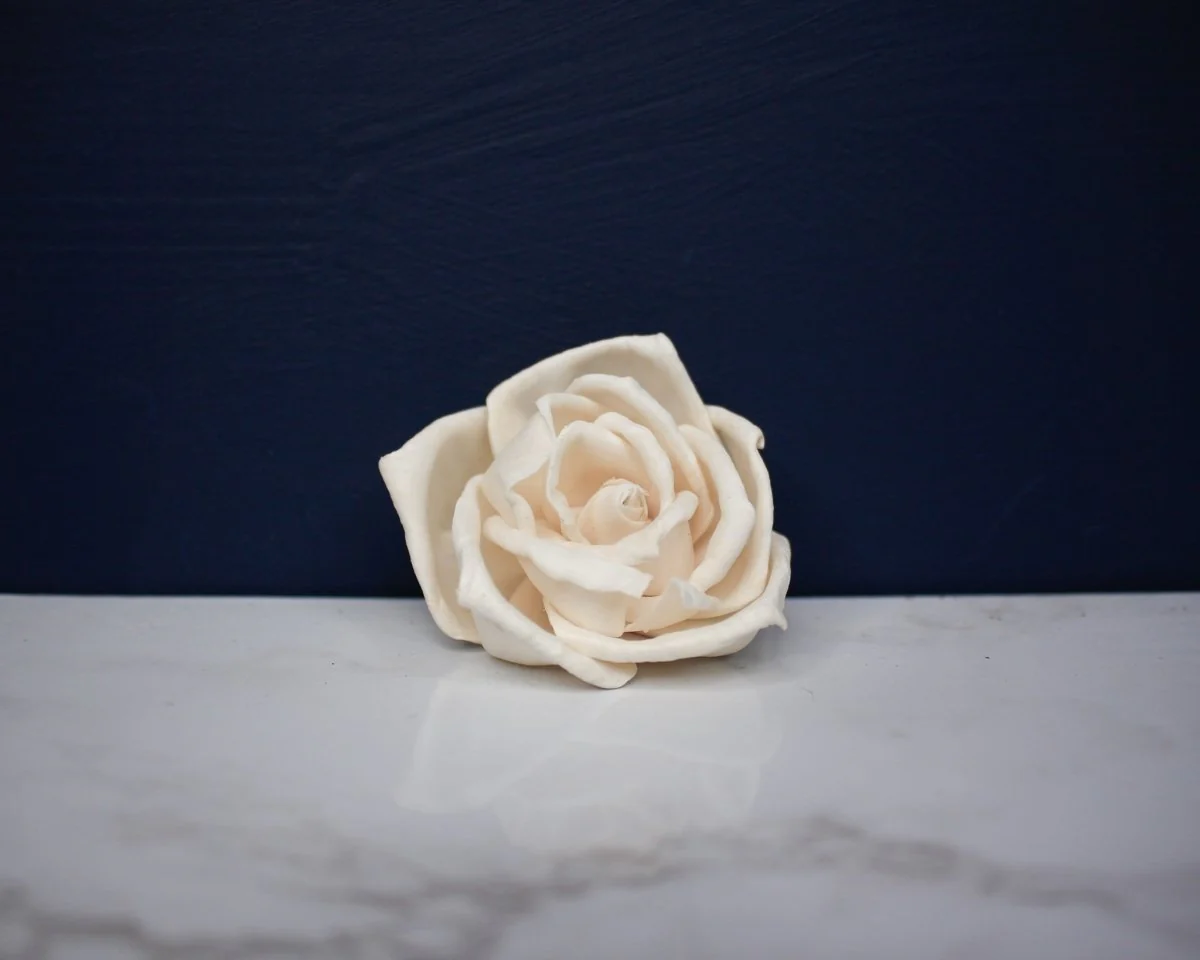 2" Nelly (10 Pack) - Image 2