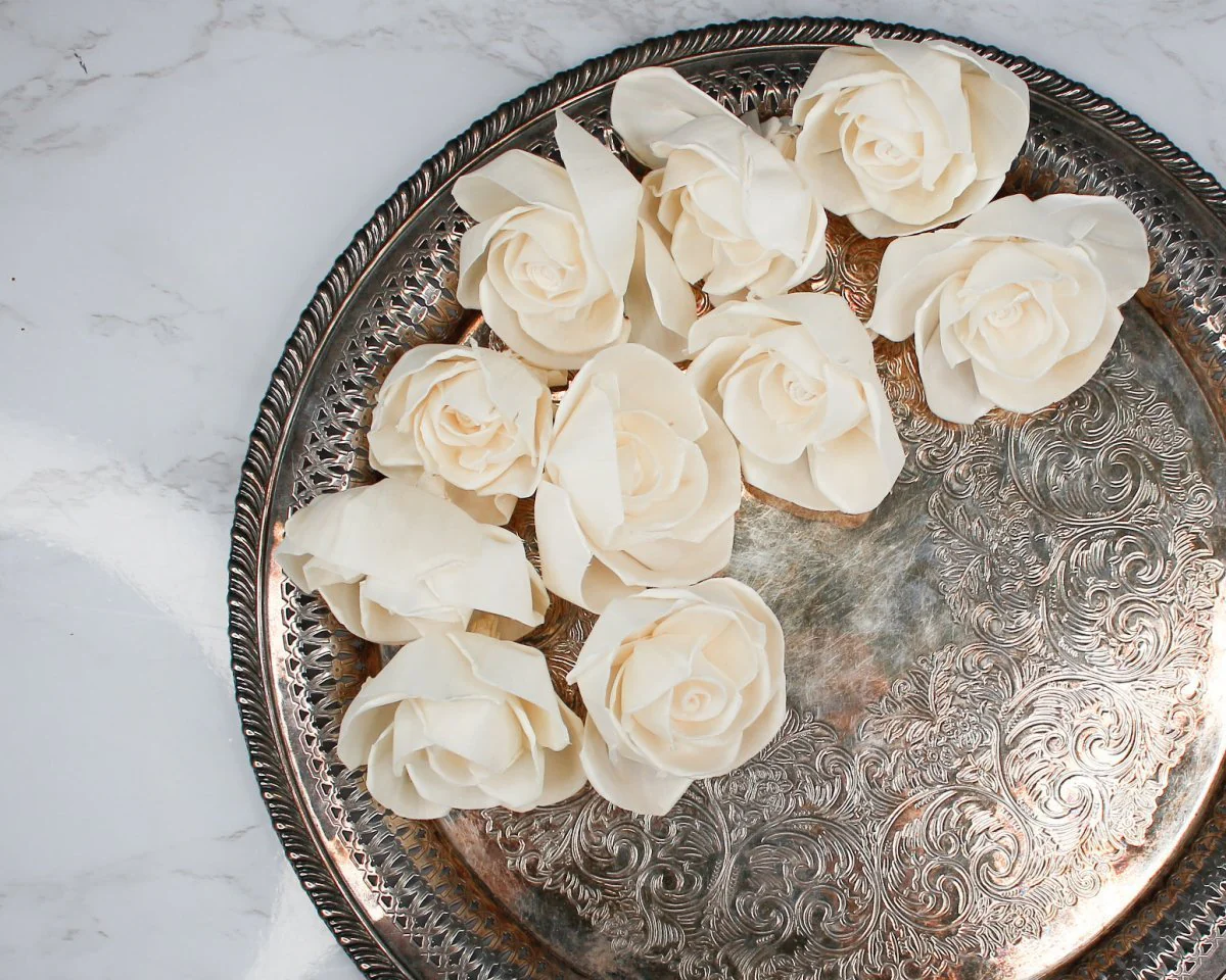 2" Peace Rose (10 Pack) - Image 2