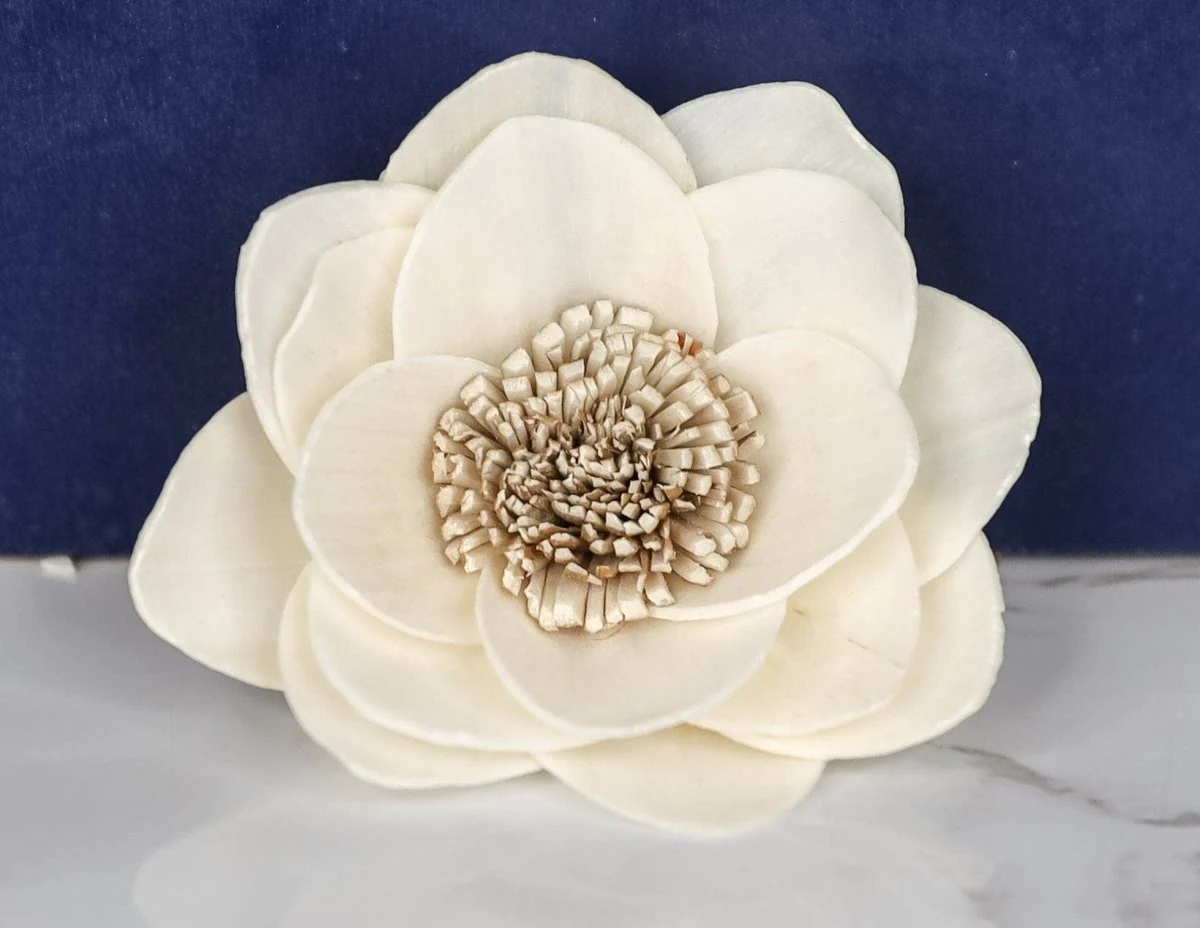 2" Posey (10 pack) - Image 2