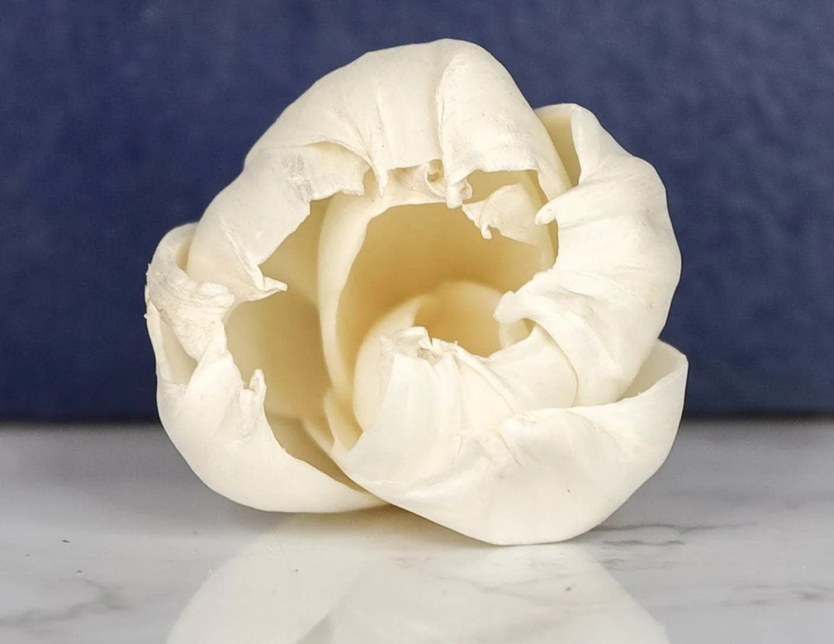 2" Precious Tulip (10 pack) - Image 2