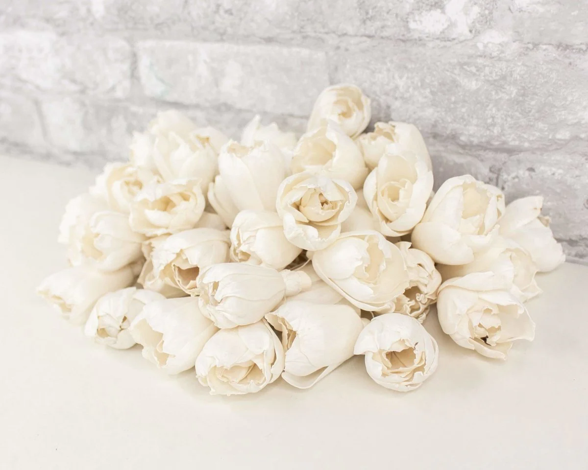 2" Precious Tulip - 50 Pack - Image 3