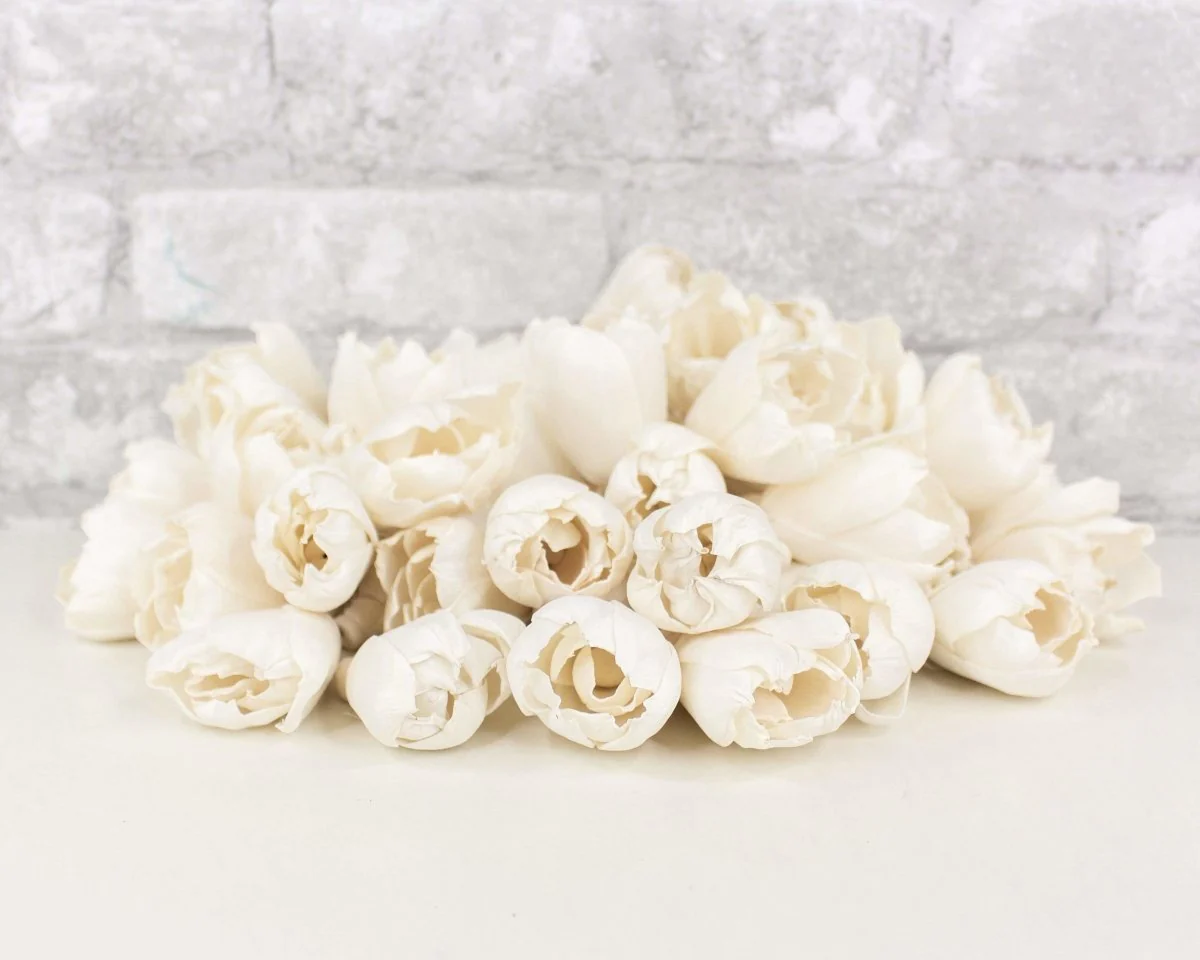 2" Precious Tulip - 50 Pack - Image 4
