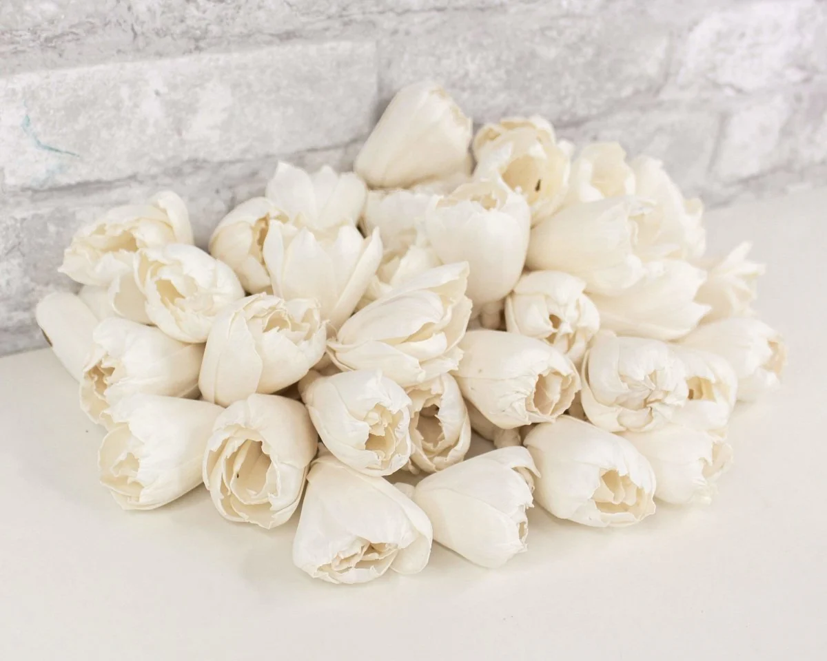 2" Precious Tulip - 50 Pack - Image 5
