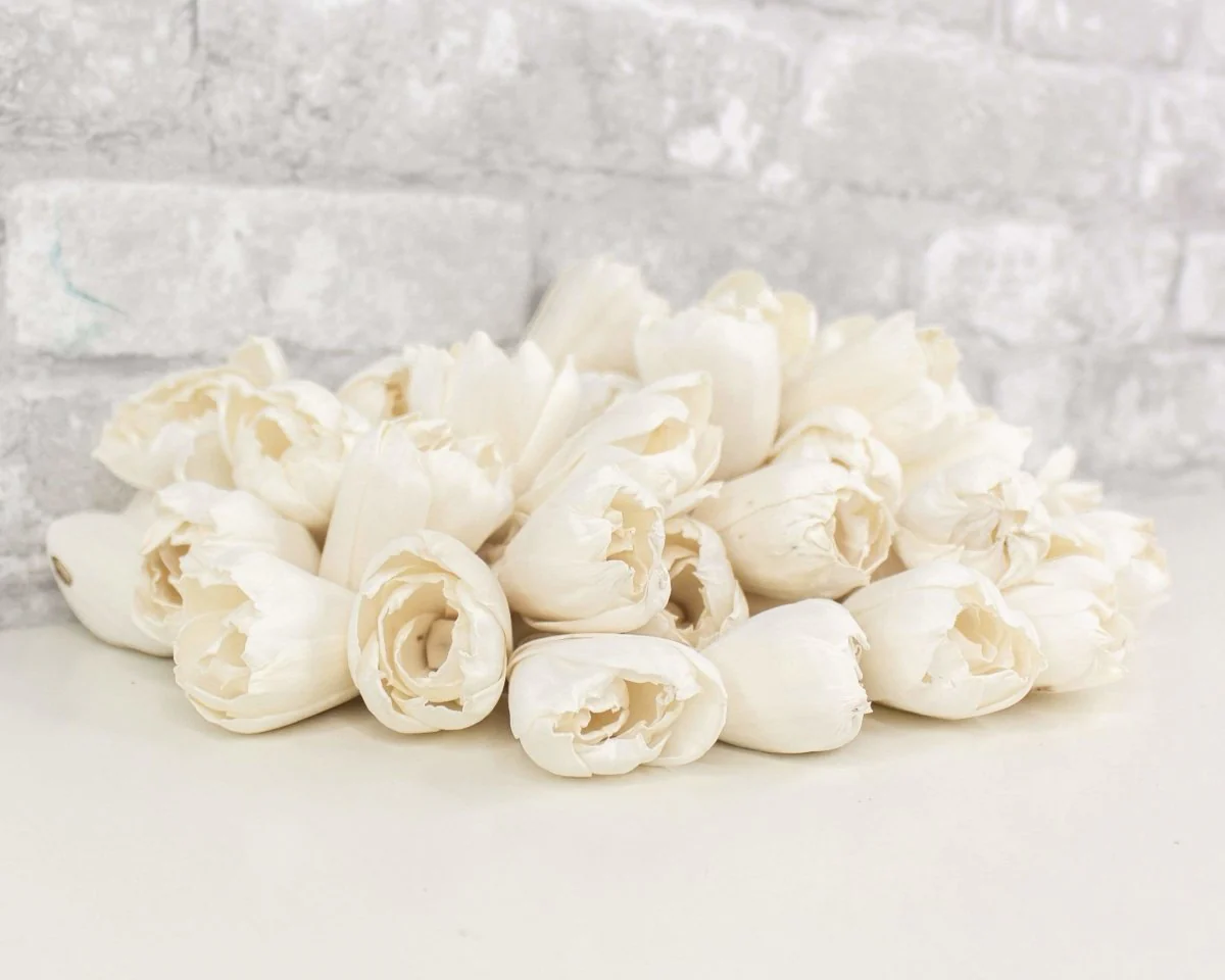 2" Precious Tulip - 50 Pack - Image 6