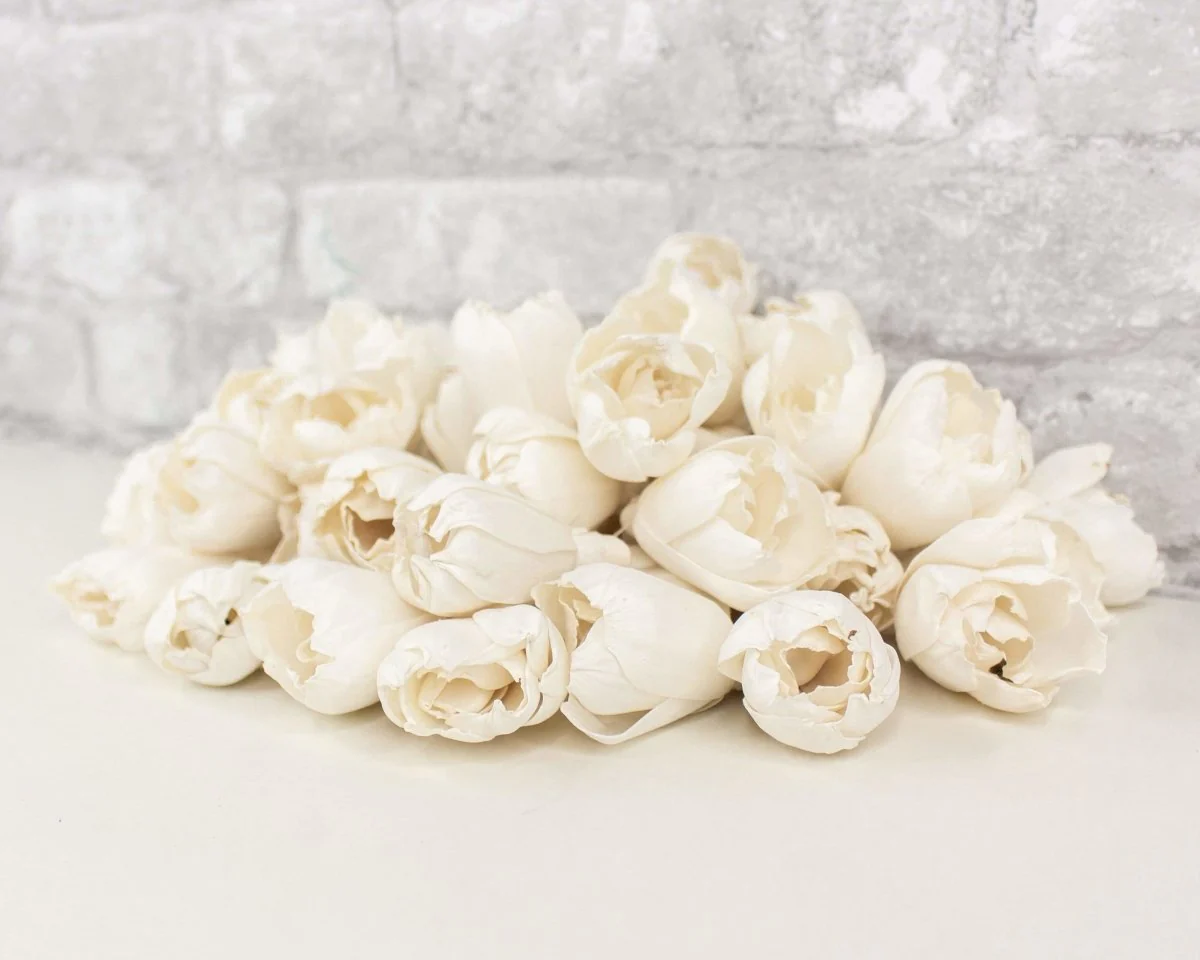 2" Precious Tulip - 50 Pack - Image 7