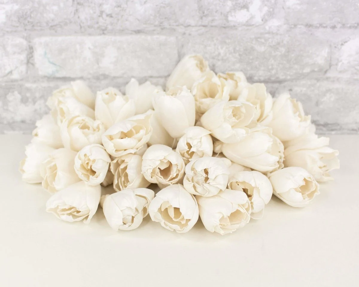 2" Precious Tulip - 50 Pack - Image 8