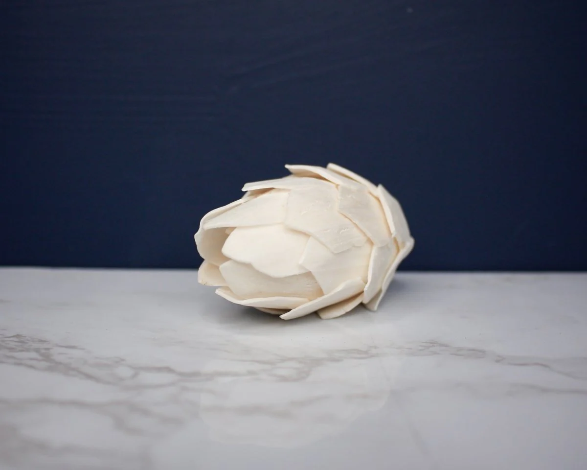 2" Protea (10 pack) - Image 2