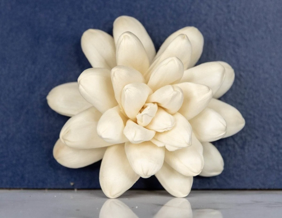 2" Rosette (10 pack) - Image 2
