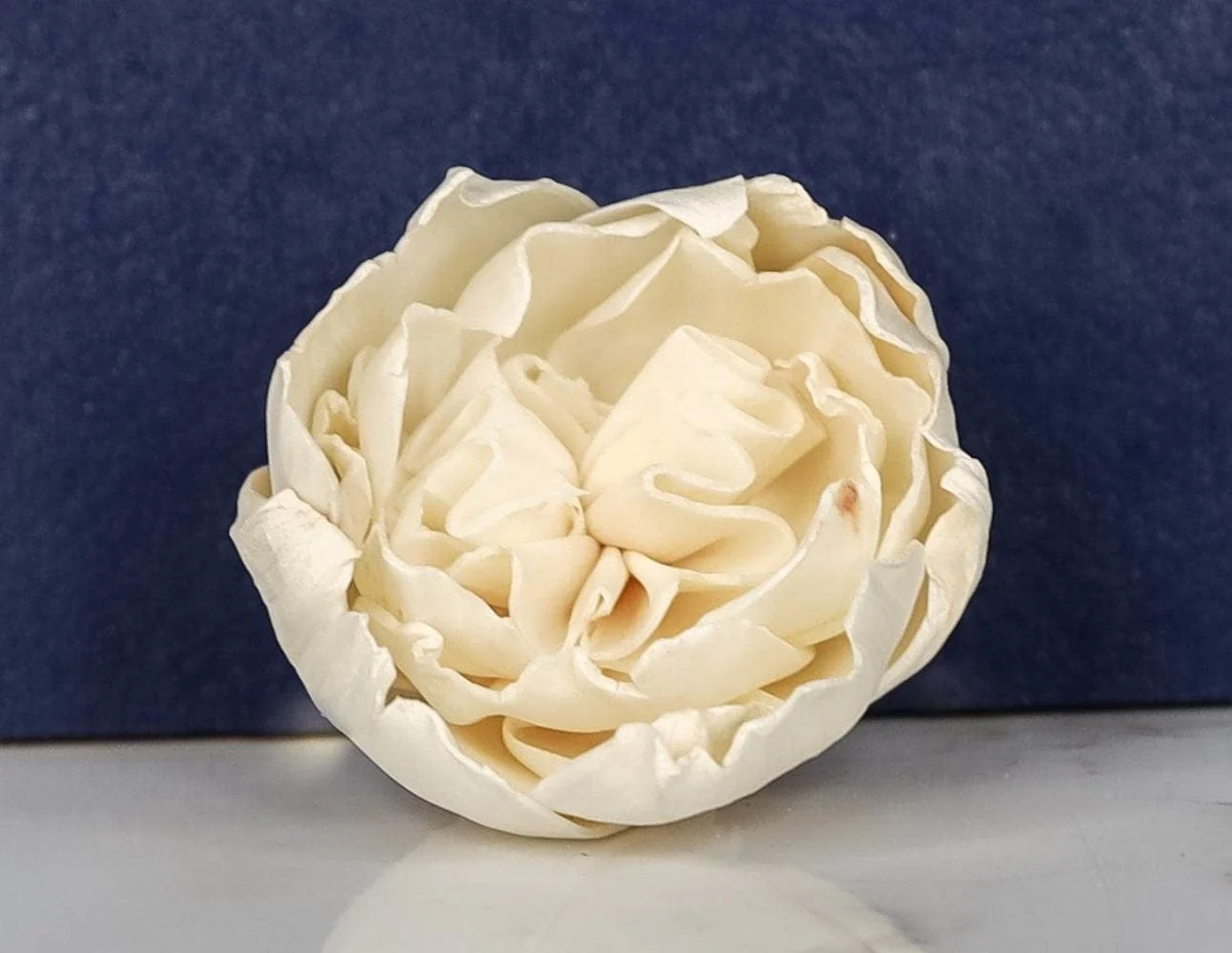 2" Rosie (10 Pack) - Image 3