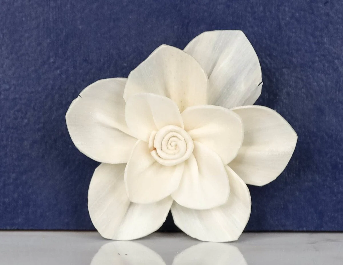 2" Rosina (10 Pack) - Image 2