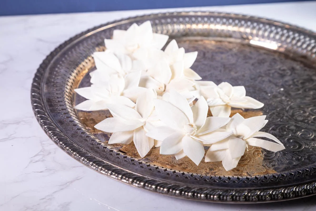 2" Royal Jasmine (10 Pack) - Image 2