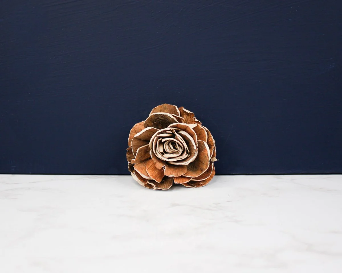 2" Silva (10 Pack) - Image 2