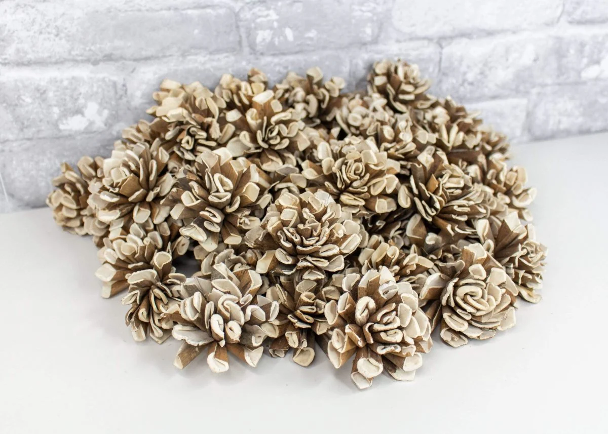 2" Bark Dahlia - 50 Pack - Image 3