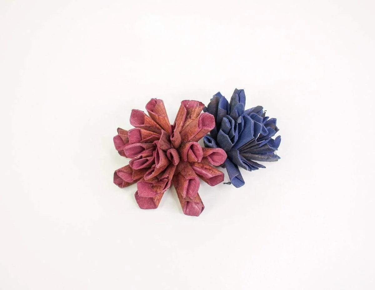 2" Bark Dahlia - 50 Pack - Image 4