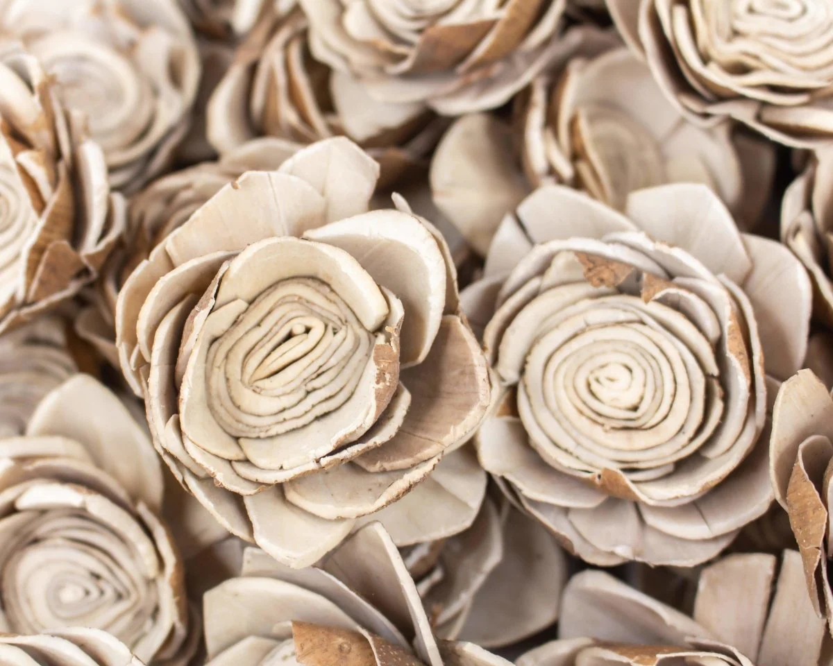 2" Bark Lotus - 50 Pack - Image 2