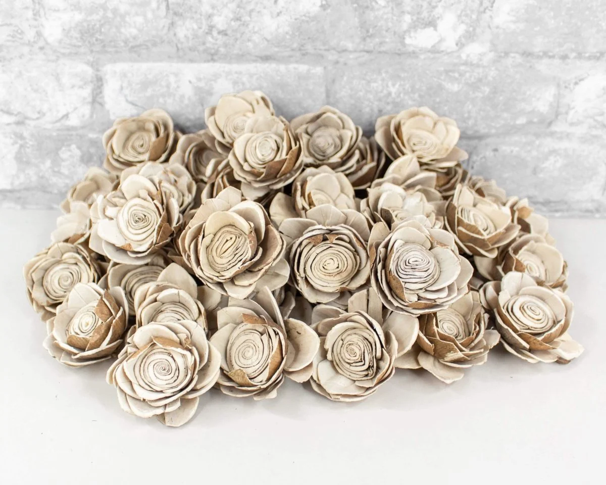 2" Bark Lotus - 50 Pack - Image 3