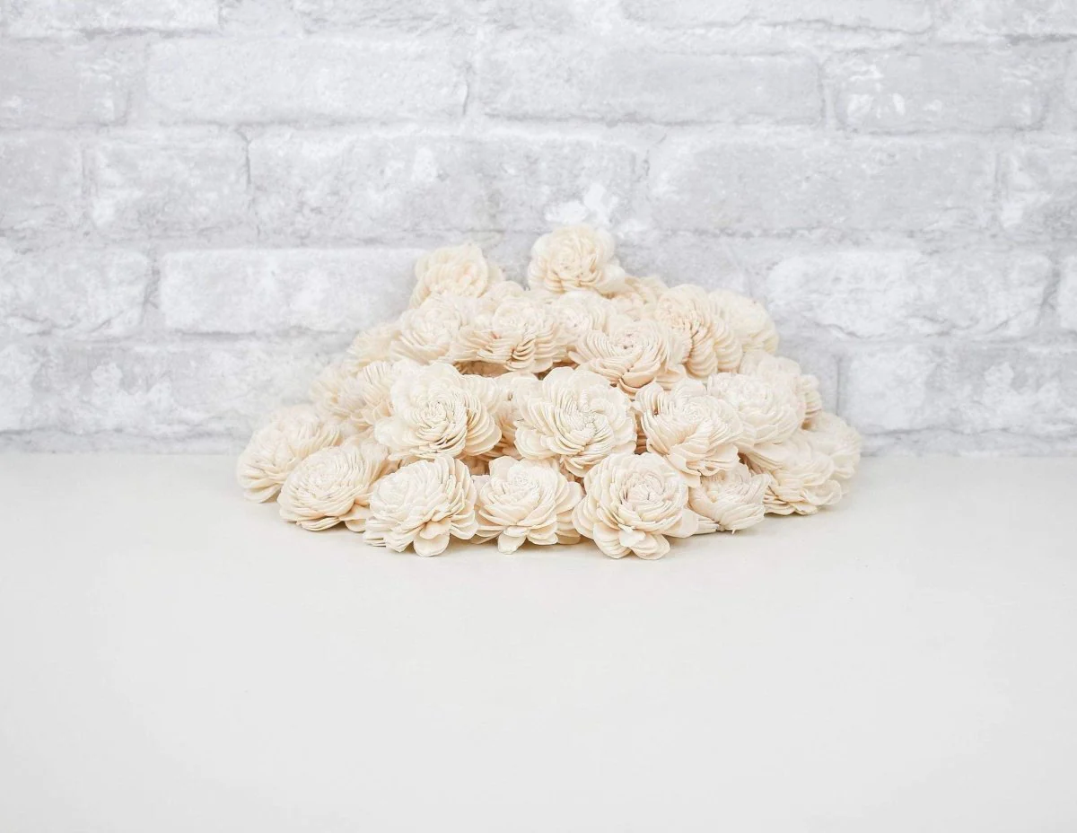 2" Spiral - 50 Pack