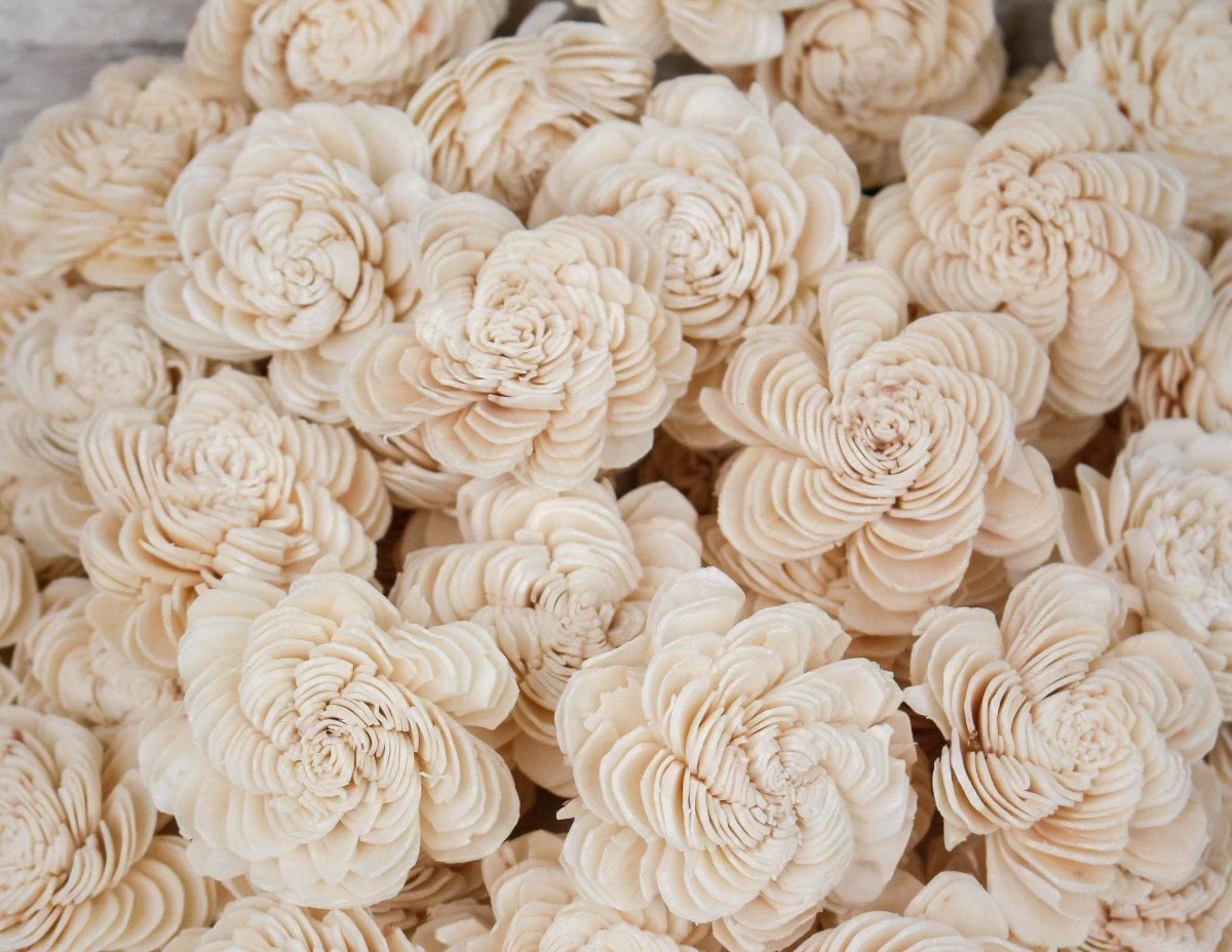2" Spiral - 50 Pack - Image 2