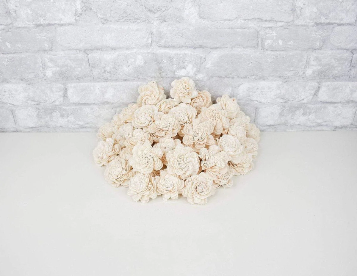 2" Spiral - 50 Pack - Image 3