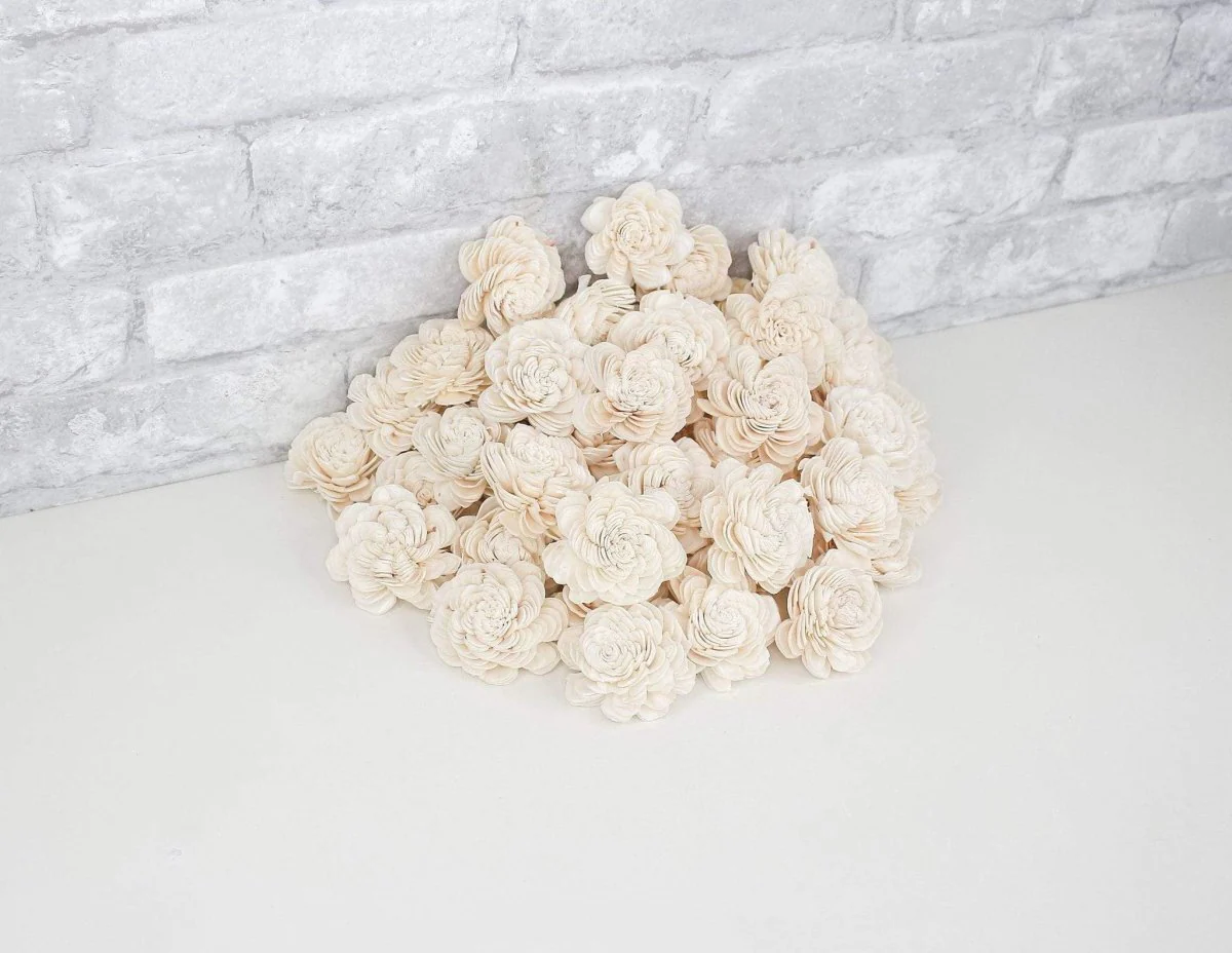 2" Spiral - 50 Pack - Image 4