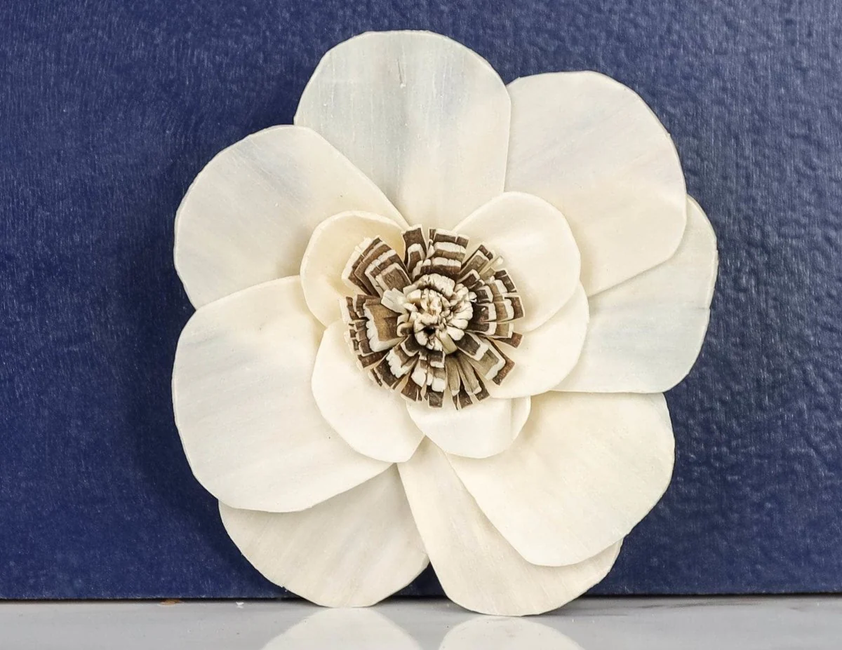 2" Stella (10 pack) - Image 2