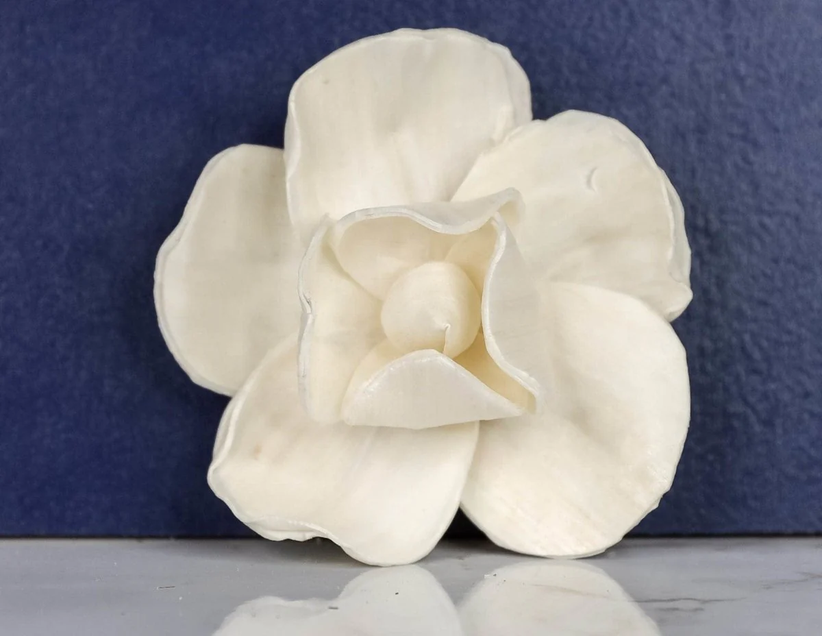2" Tess (200 Pack) - Image 2