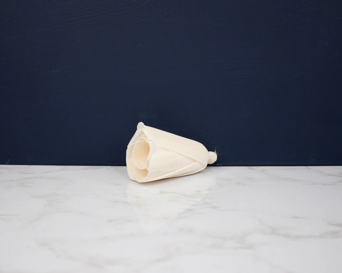 2" Tulip (10 Pack) - Image 3