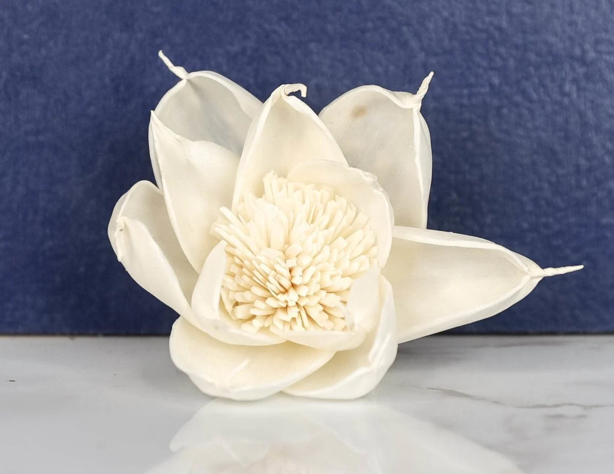 2" Veronica (10 Pack) - Image 2
