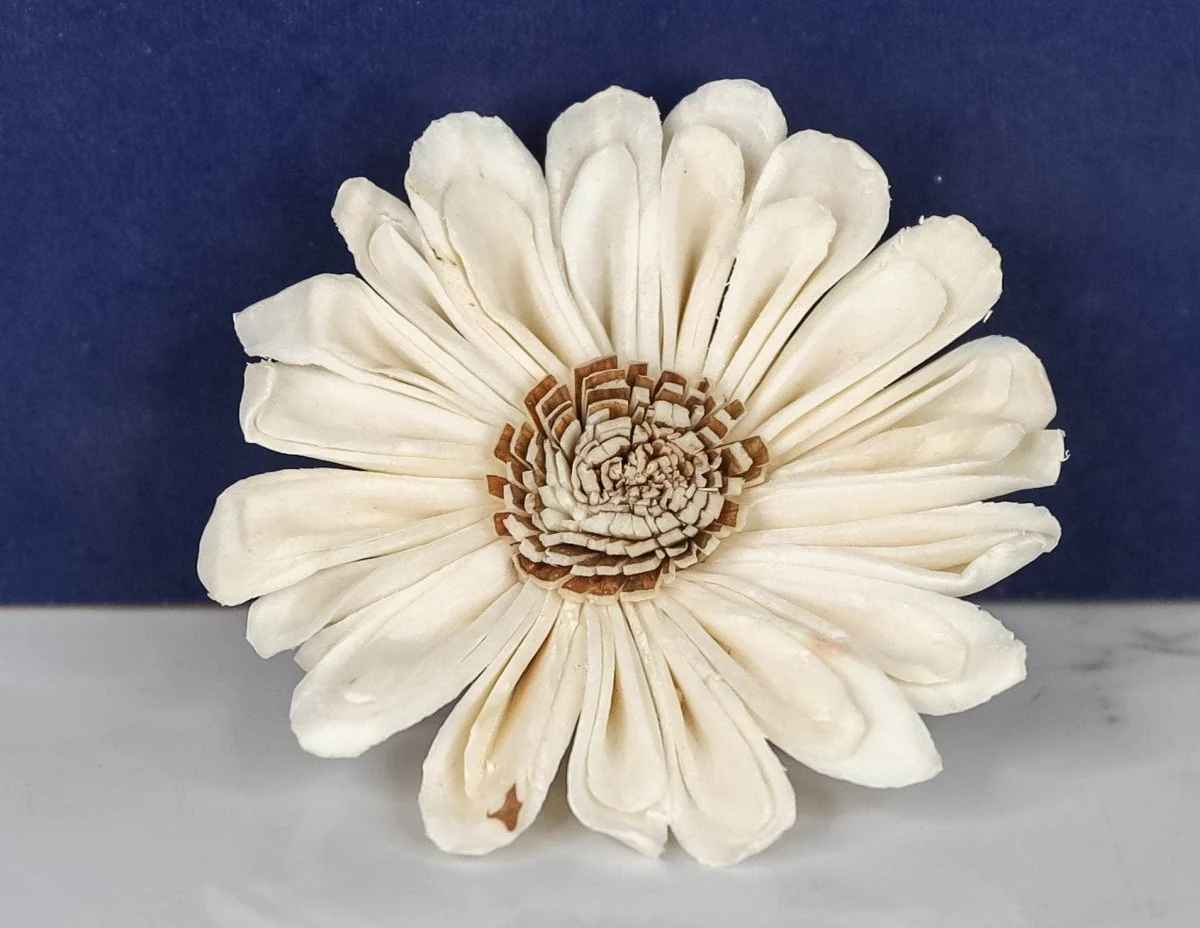 2" Windy Sunflower (10 pack) - Image 2