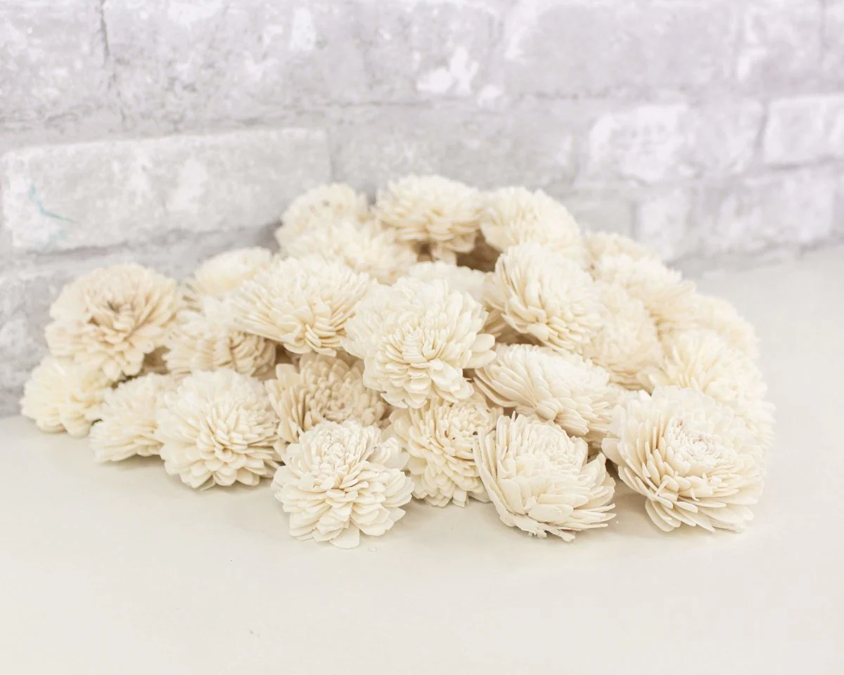 2" Zinnia - 50 Pack - Image 4